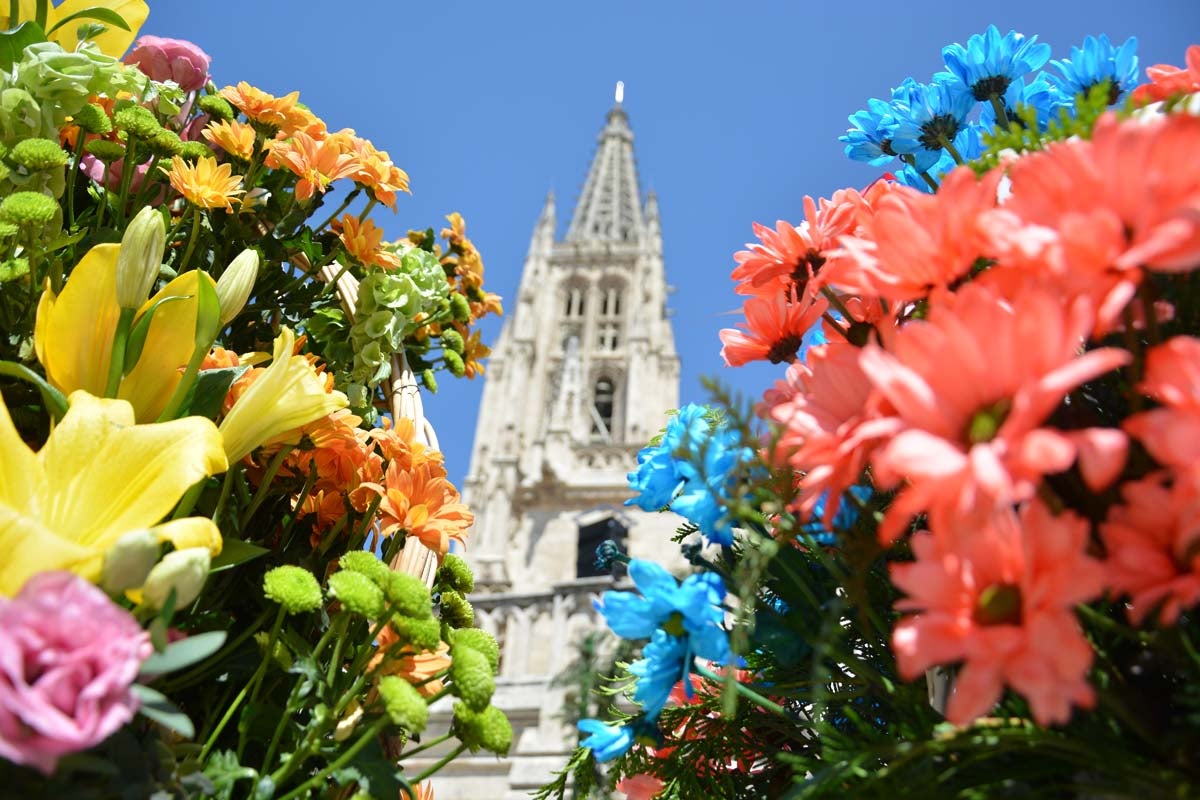 Fotos: Ofrenda Floral a Santa María La Mayor