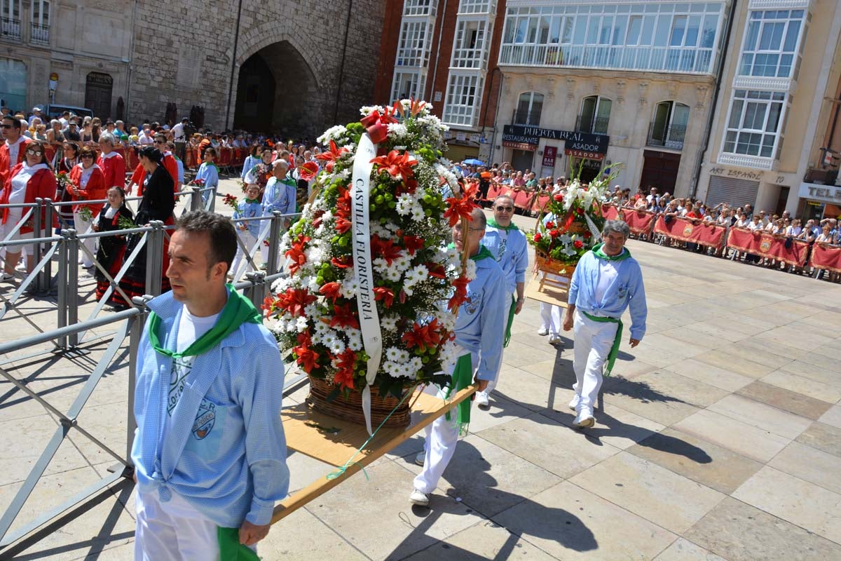 Fotos: Ofrenda Floral a Santa María La Mayor