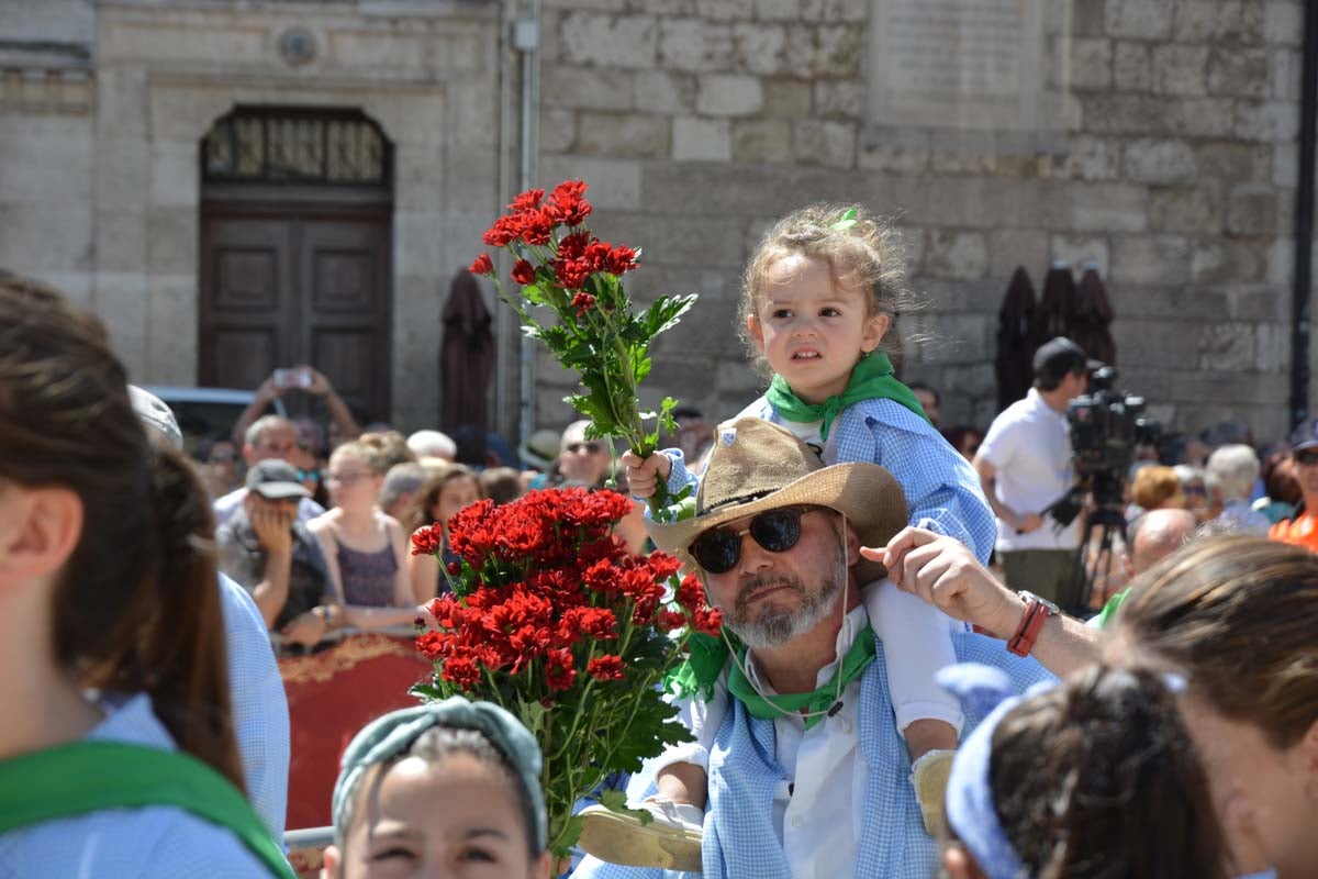 Fotos: Ofrenda Floral a Santa María La Mayor