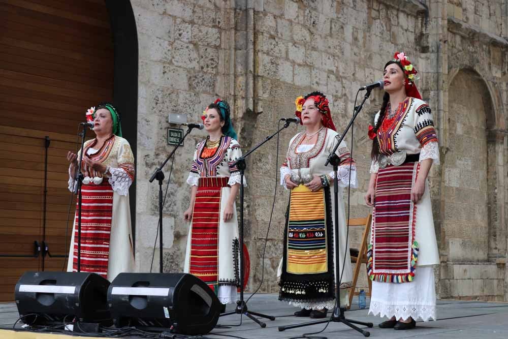 Fotos: Festival Castilla Folk en imágenes