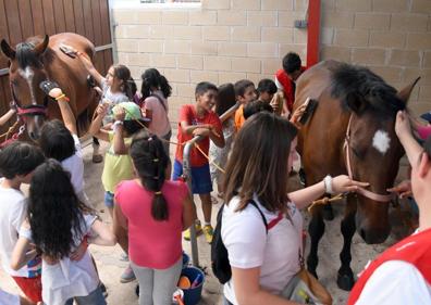 Imagen secundaria 1 - 67 niños disfrutan del VI Campamento Urbano de Cruz Roja Juventud 