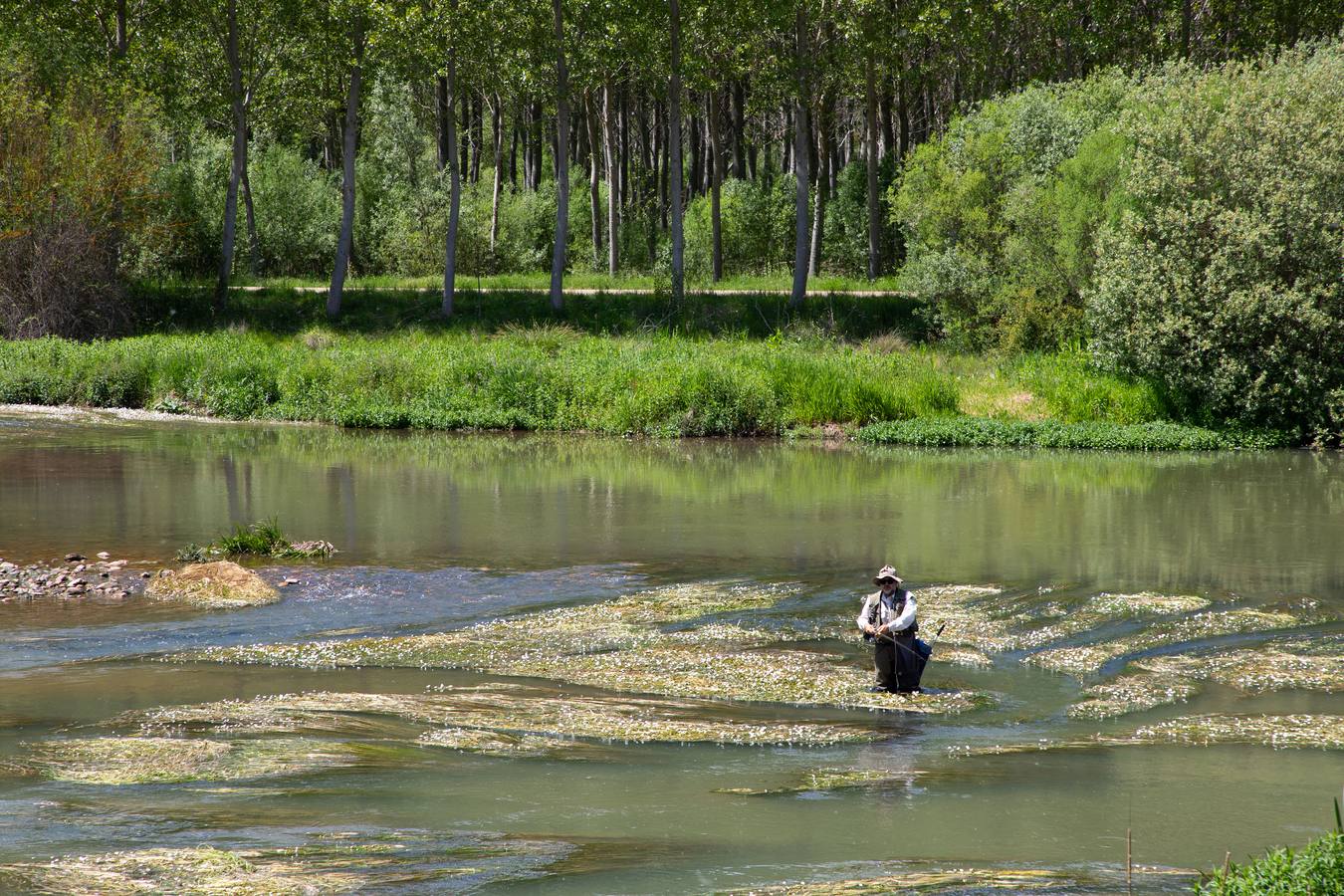 En la localidad palentina de Villaescusa de las Tuerces se levanta las gigantescas piedras en forma de setas, puentes y arcos naturales, cerrados callejones y umbrías covachuelas que dan lugar a un encantado paisaje en el que parecen habitar duendes y brujas