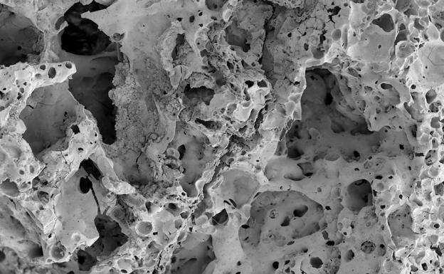 Fotografía facilitada por la Universidad de Copenhague, de una imagen escaneada de restos de pan carbonizados recuperados en el yacimiento de Shubayqa 1 (Jordania). 