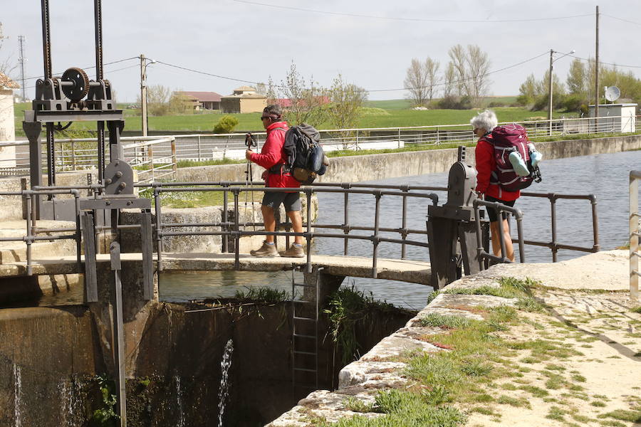 Peregrinos en el Canal de Castilla en Frómista. 