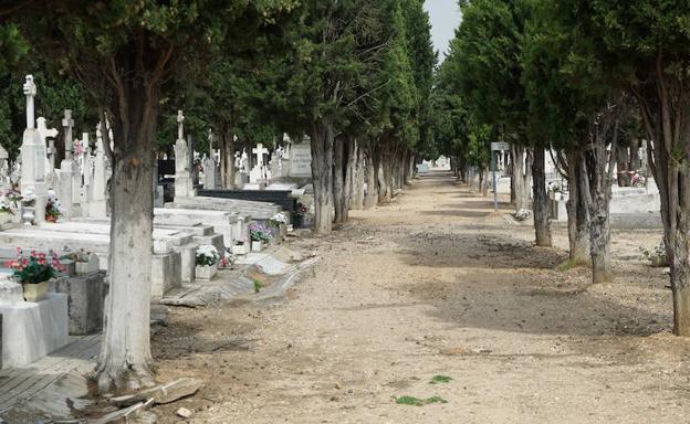 Imagen principal - Las seis fosas comunes se escondían bajo uno de los caminos del cementerio de El Carmen. Dos de los objetos extraídos de las fosas: la cremallera de un jersey y un pin con dos gatos que está siendo estudiado en el Museo de Núremberg.