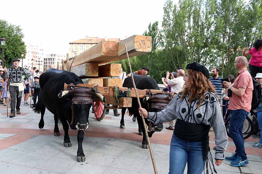 Fotos: Los materiales que dieron forma a la Catedral vuelven en bueyes y vacas serranas