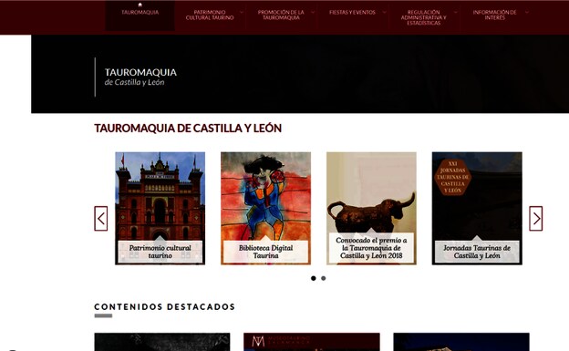 Imagen del portal web. 