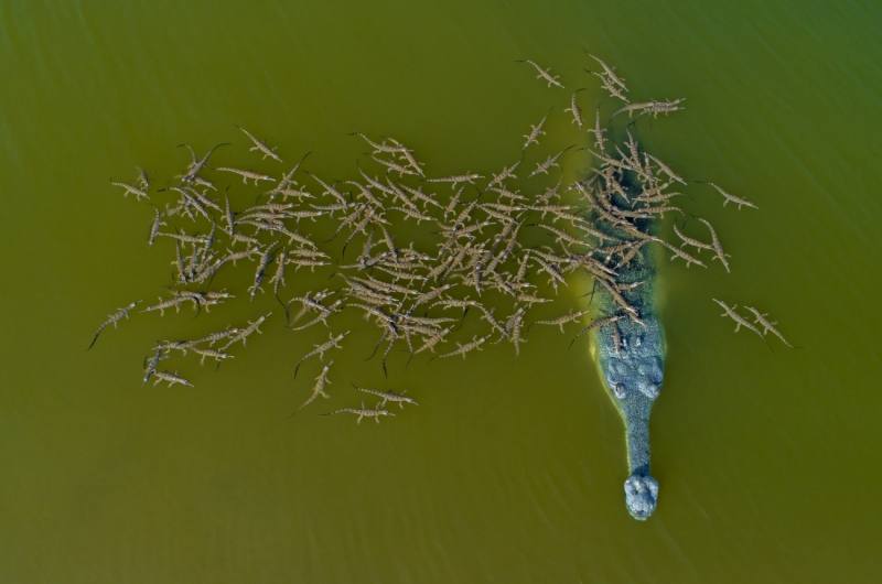 Fotos: Las imágenes más espectaculares captadas con drones