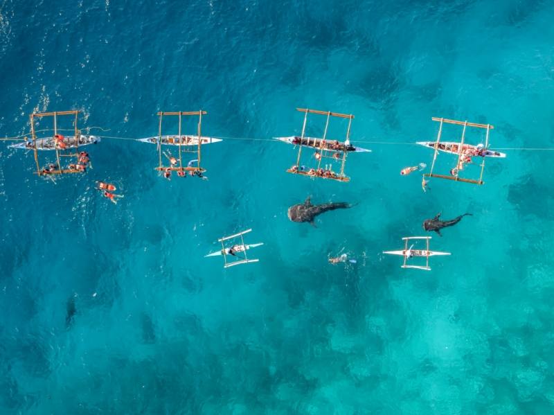 Fotos: Las imágenes más espectaculares captadas con drones