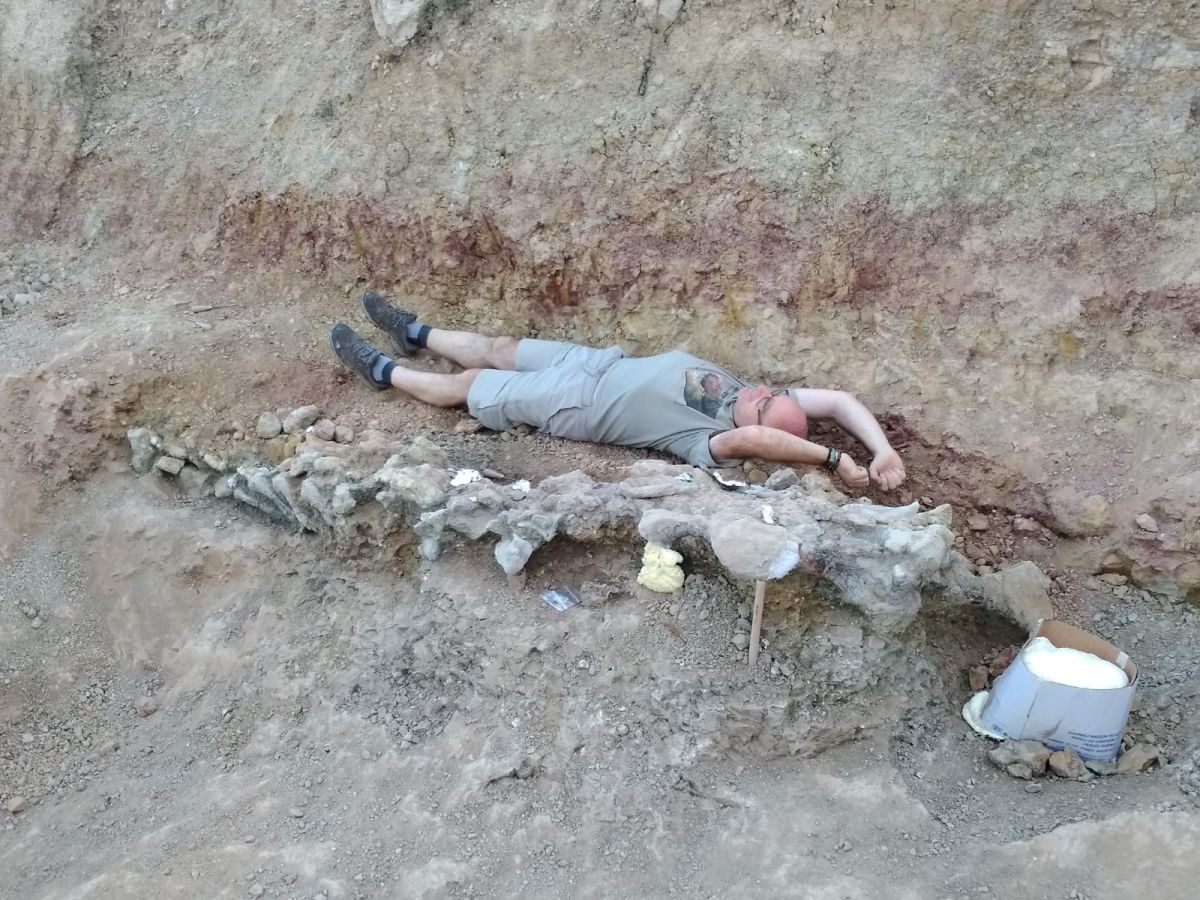 Fotos: Balance de la Campaña 2018 de excavaciones en el yacimiento de restos de dinosaurios Valdepalazuelos-Tenadas del Carrascal de Torrelara