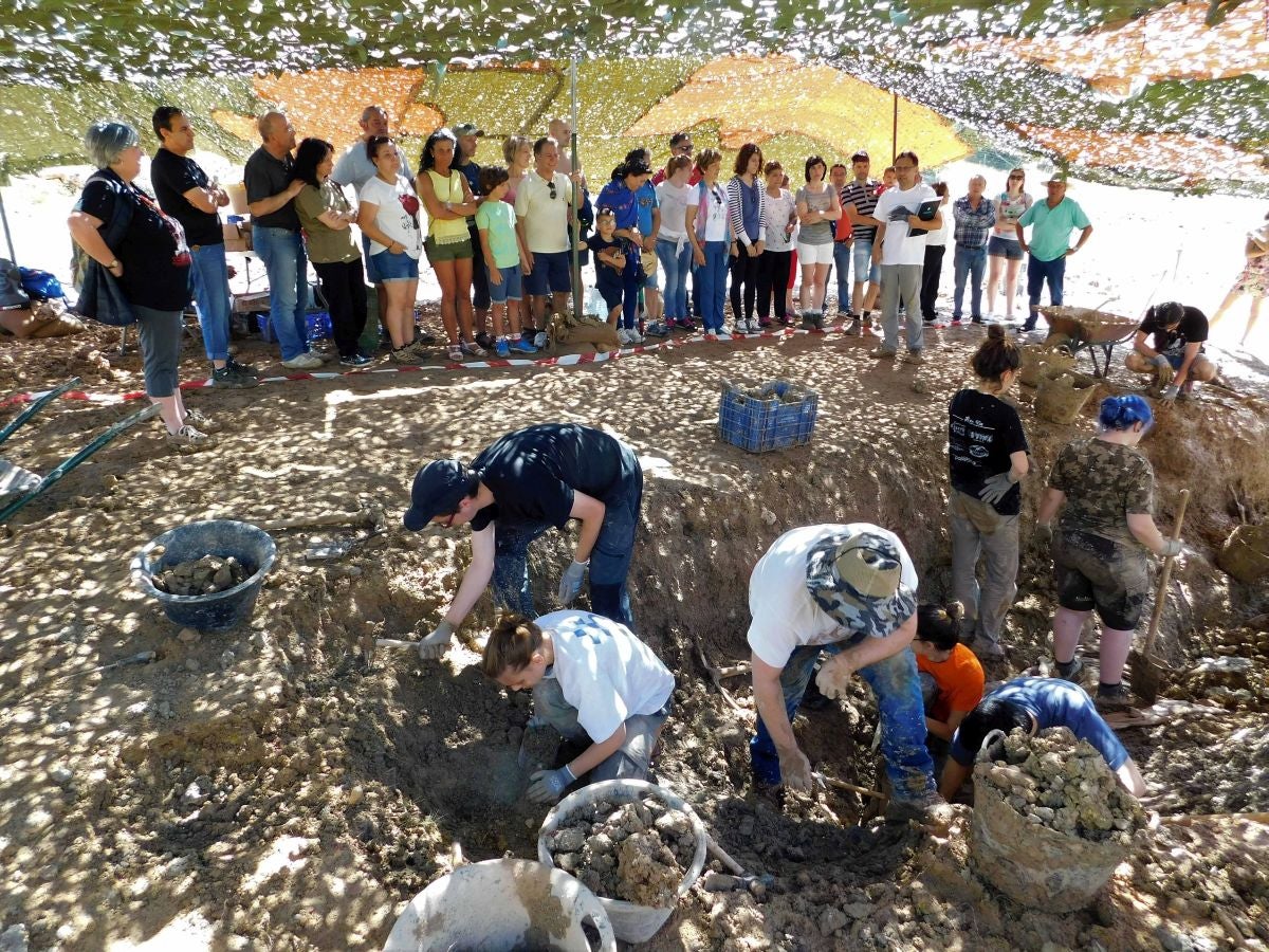 Fotos: Balance de la Campaña 2018 de excavaciones en el yacimiento de restos de dinosaurios Valdepalazuelos-Tenadas del Carrascal de Torrelara