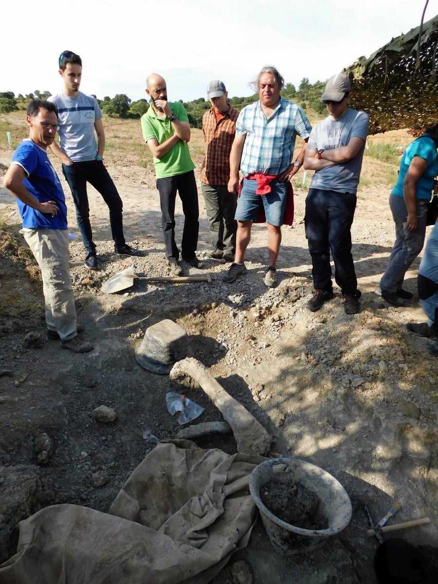 Fotos: Balance de la Campaña 2018 de excavaciones en el yacimiento de restos de dinosaurios Valdepalazuelos-Tenadas del Carrascal de Torrelara