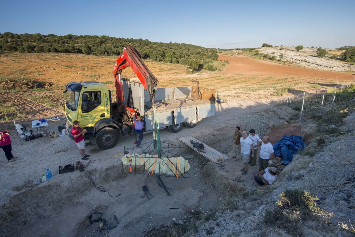 Fotos: Balance de la Campaña 2018 de excavaciones en el yacimiento de restos de dinosaurios Valdepalazuelos-Tenadas del Carrascal de Torrelara