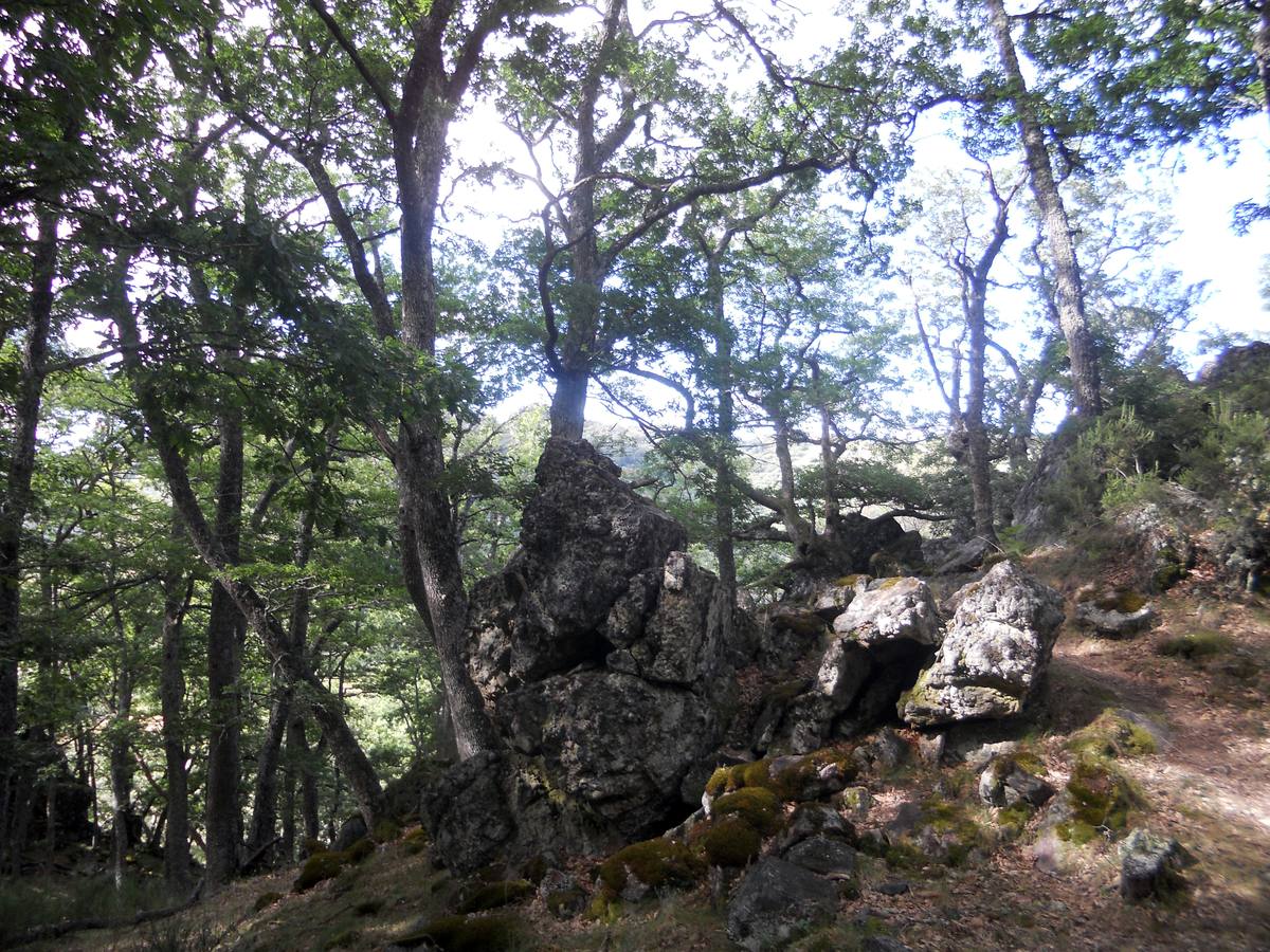 Una ruta de 11 kms, con un recorrido circular que une Villabellaco, Valle de Santullán y el Santuario del Carmen | Una senda en homenaje al escultor local Ursicinio Martínez entre bosques de rebollos y esculturas de sus compañeros del Grupo Muriel