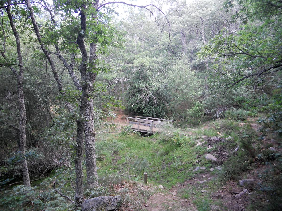 Una ruta de 11 kms, con un recorrido circular que une Villabellaco, Valle de Santullán y el Santuario del Carmen | Una senda en homenaje al escultor local Ursicinio Martínez entre bosques de rebollos y esculturas de sus compañeros del Grupo Muriel