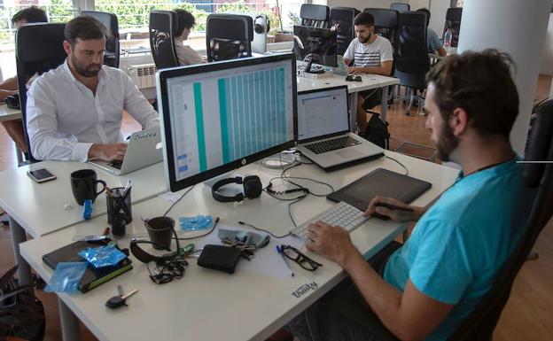 Varios jóvenes trabajan en una oficina. 