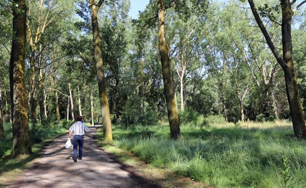 Burgos invertirá 1 millón de euros en mejorar 1.000 hectáreas del Cinturón Verde hasta 2022