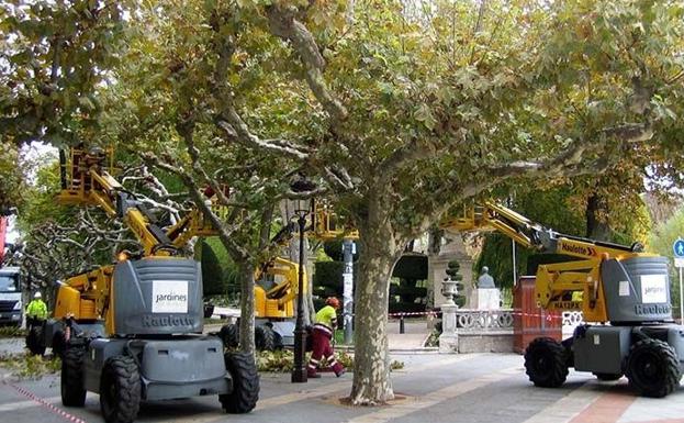 Jardines de Burgos se encarga ahora del servicio