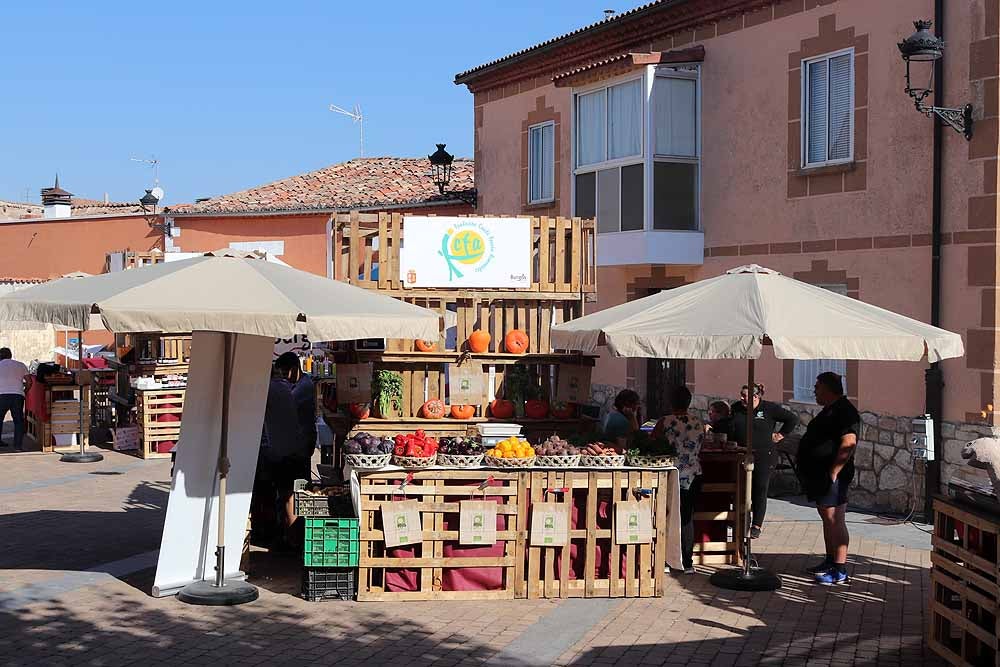 Fotos: Burgos Alimenta en el Día de la Provincia de Arcos de la Llana