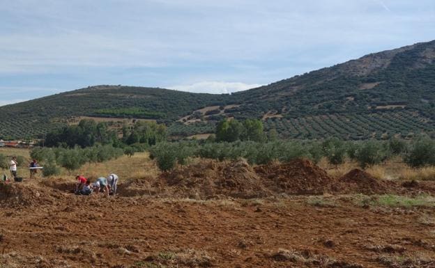 La campaña de excavaciones en El Sotillo saca a la luz más de cinco mil utensilios de industria musteriense