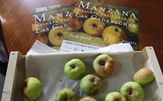 Cartel anunciador de la Feria de la Manzana Reineta de Las Caderechas