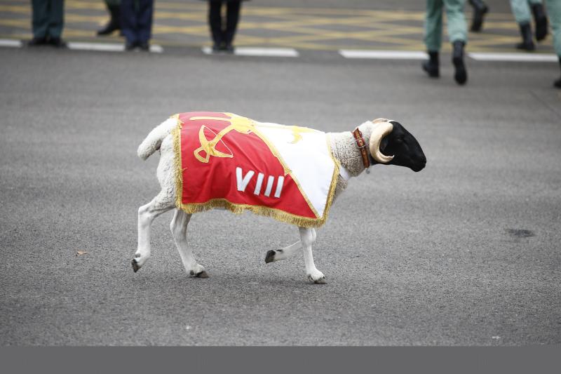 Fotos: Banderas, aplausos y vivas a España y la Corona