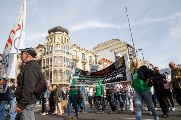 Imagen - Unas 1500 personas se manifiestan en Zamora en contra de las macro granjas de porcino que se quieren instalar en la provincia.