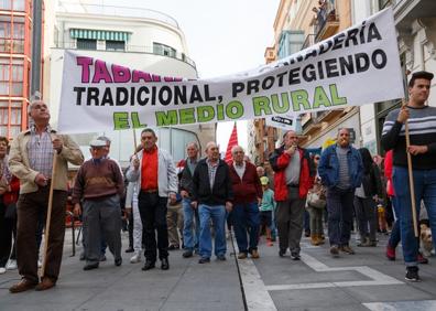 Imagen secundaria 1 - Unas 1500 personas se manifiestan en Zamora en contra de las macro granjas de porcino que se quieren instalar en la provincia. 