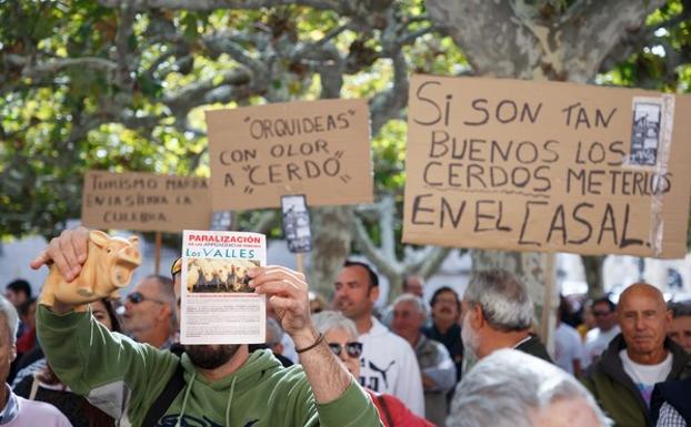 Imagen principal - Unas 1500 personas se manifiestan en Zamora en contra de las macro granjas de porcino que se quieren instalar en la provincia. 