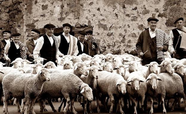 Imagen principal - Un fotograma del documental 'Trashumando recuerdos' y dos fotografías de la celebración de la jornada en el año 2017.