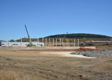 Imagen secundaria 1 - La actividad es intensa en el polígono. 
