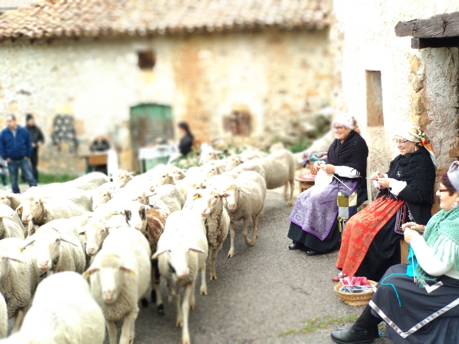 Tolbaños de Arriba recrea el momento de la trashumancia