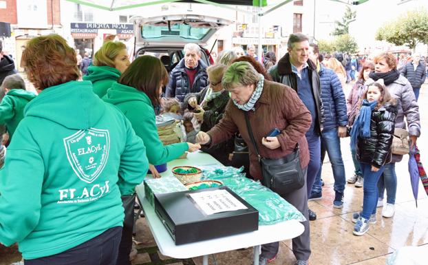 Imagen principal - La venta de calendarios ha comenzado con la 'flashmob' de la Plaza del Rey San Fernando