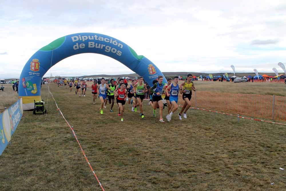 Fotos: Más allá de los atletas profesionales. Un cross para todos