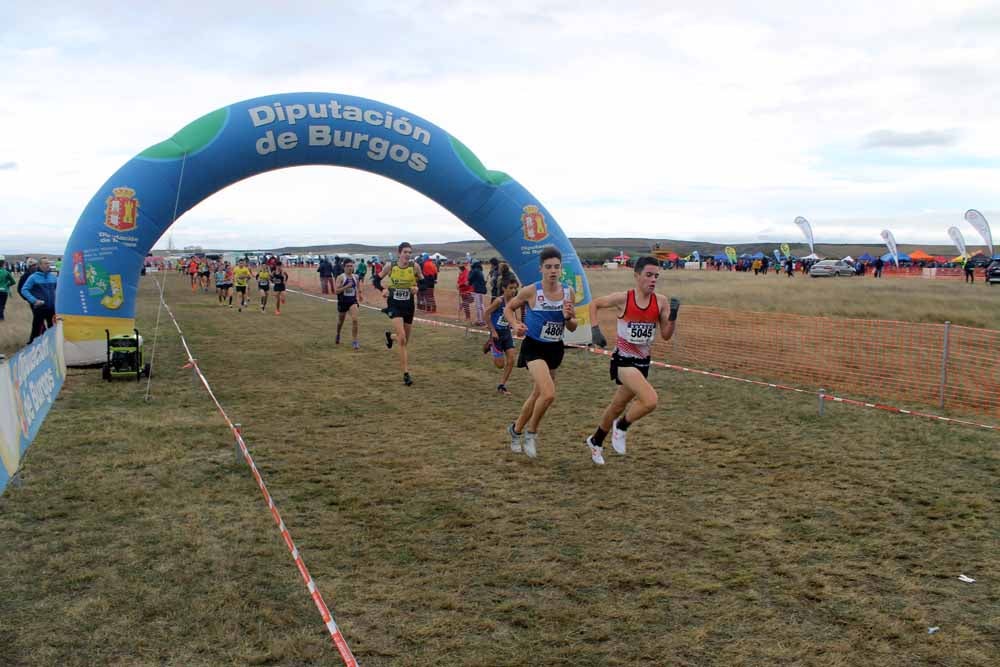 Fotos: Más allá de los atletas profesionales. Un cross para todos