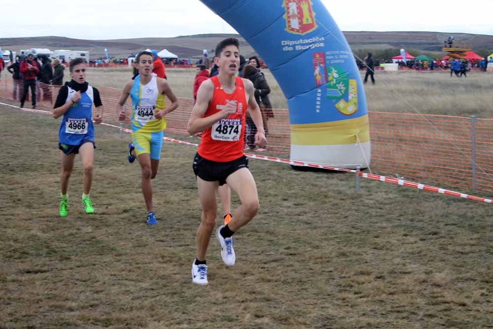 Fotos: Más allá de los atletas profesionales. Un cross para todos
