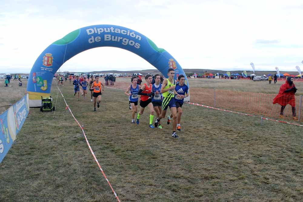 Fotos: Más allá de los atletas profesionales. Un cross para todos