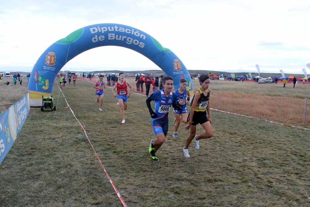 Fotos: Más allá de los atletas profesionales. Un cross para todos