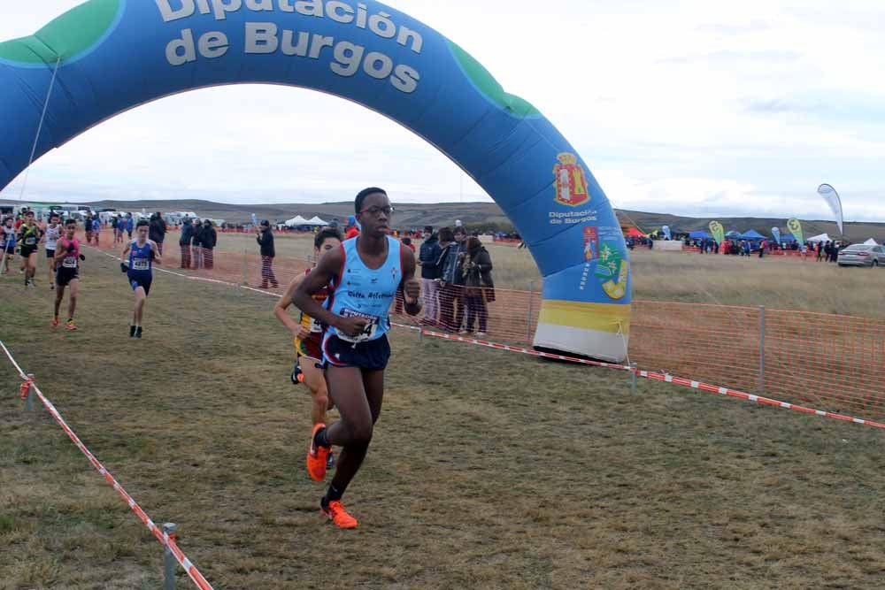 Fotos: Más allá de los atletas profesionales. Un cross para todos