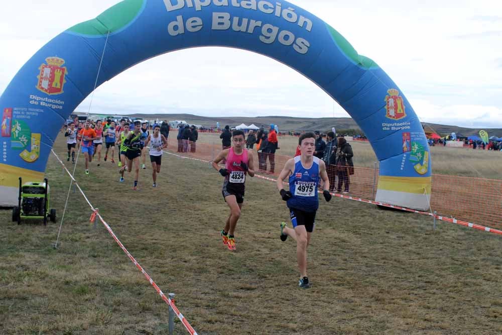 Fotos: Más allá de los atletas profesionales. Un cross para todos