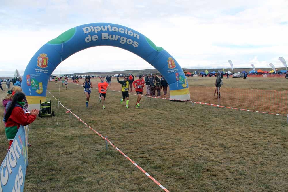 Fotos: Más allá de los atletas profesionales. Un cross para todos