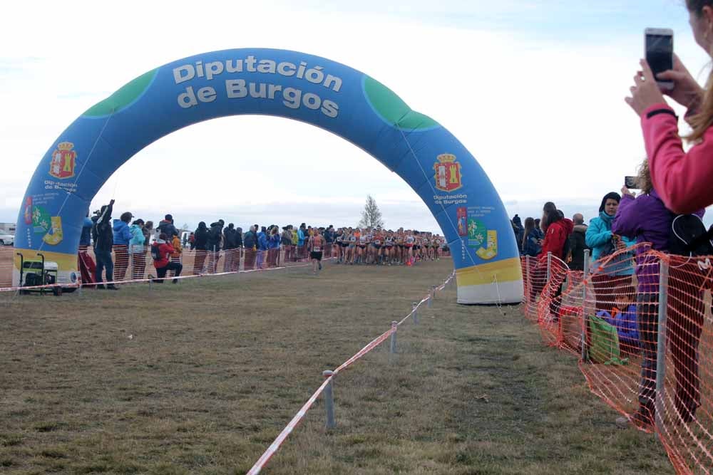 Fotos: Más allá de los atletas profesionales. Un cross para todos