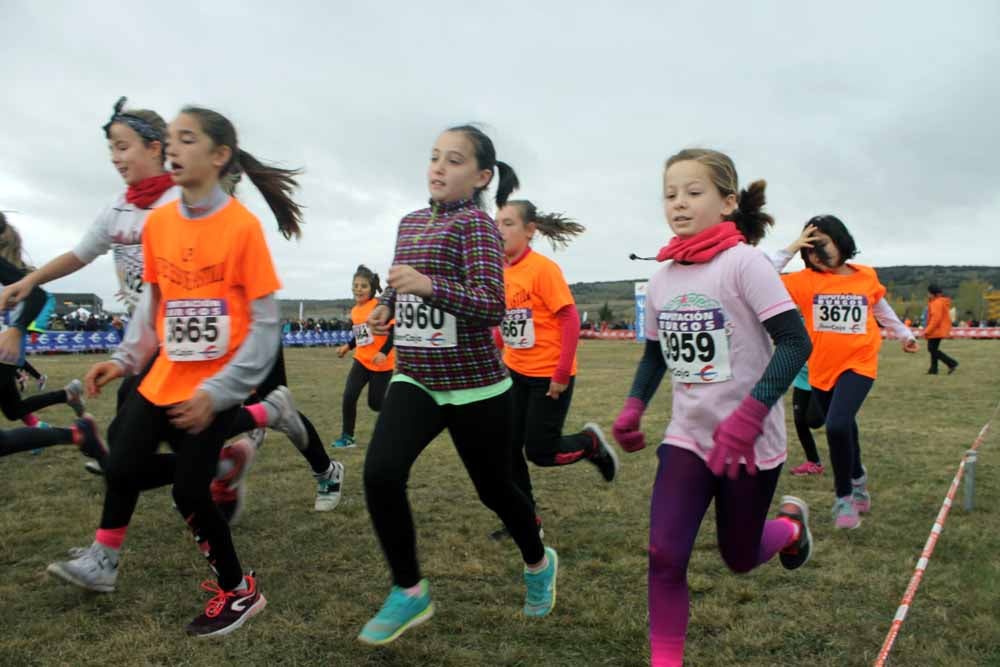 Fotos: Más allá de los atletas profesionales. Un cross para todos