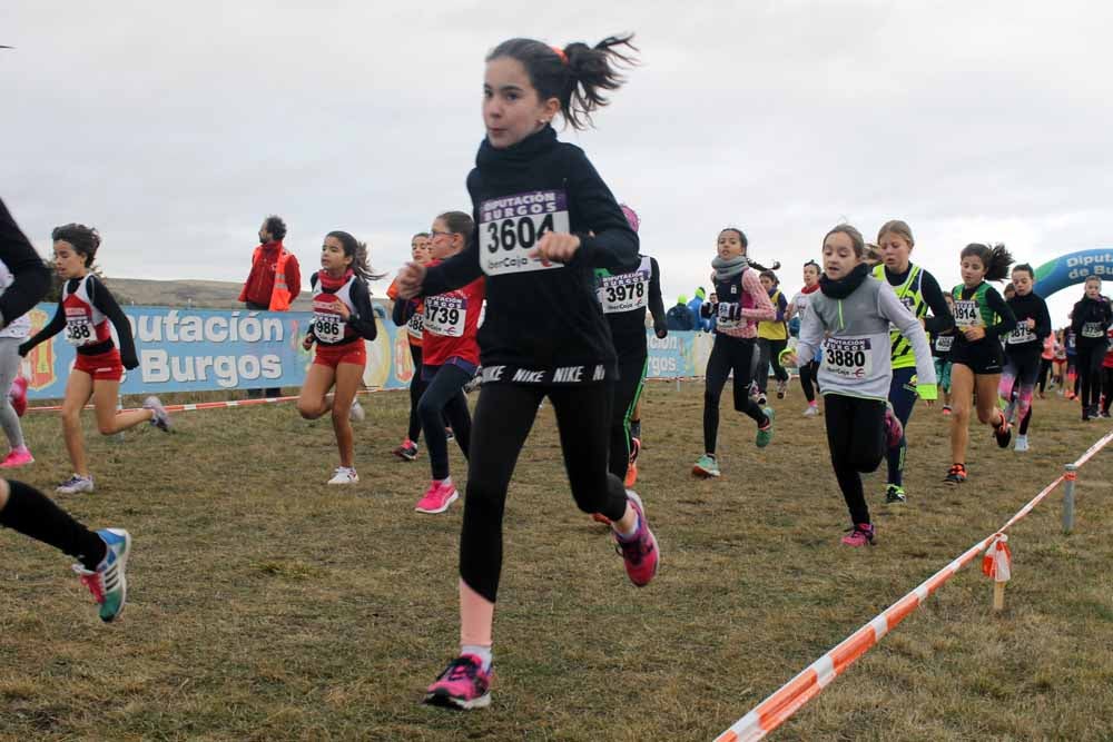 Fotos: Más allá de los atletas profesionales. Un cross para todos