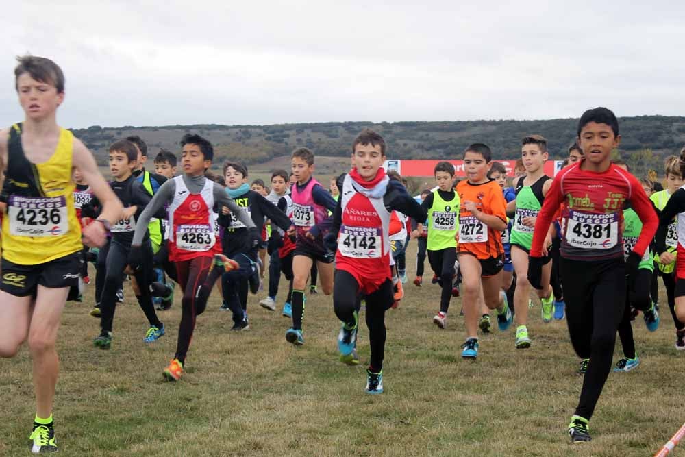 Fotos: Más allá de los atletas profesionales. Un cross para todos