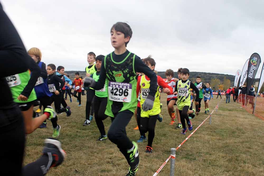 Fotos: Más allá de los atletas profesionales. Un cross para todos