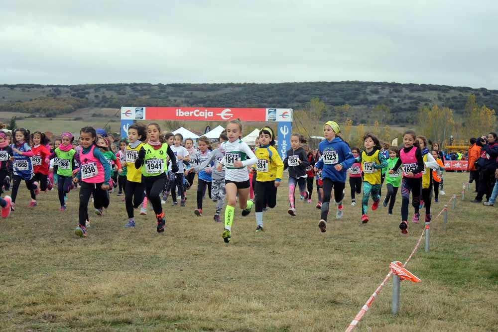 Fotos: Más allá de los atletas profesionales. Un cross para todos