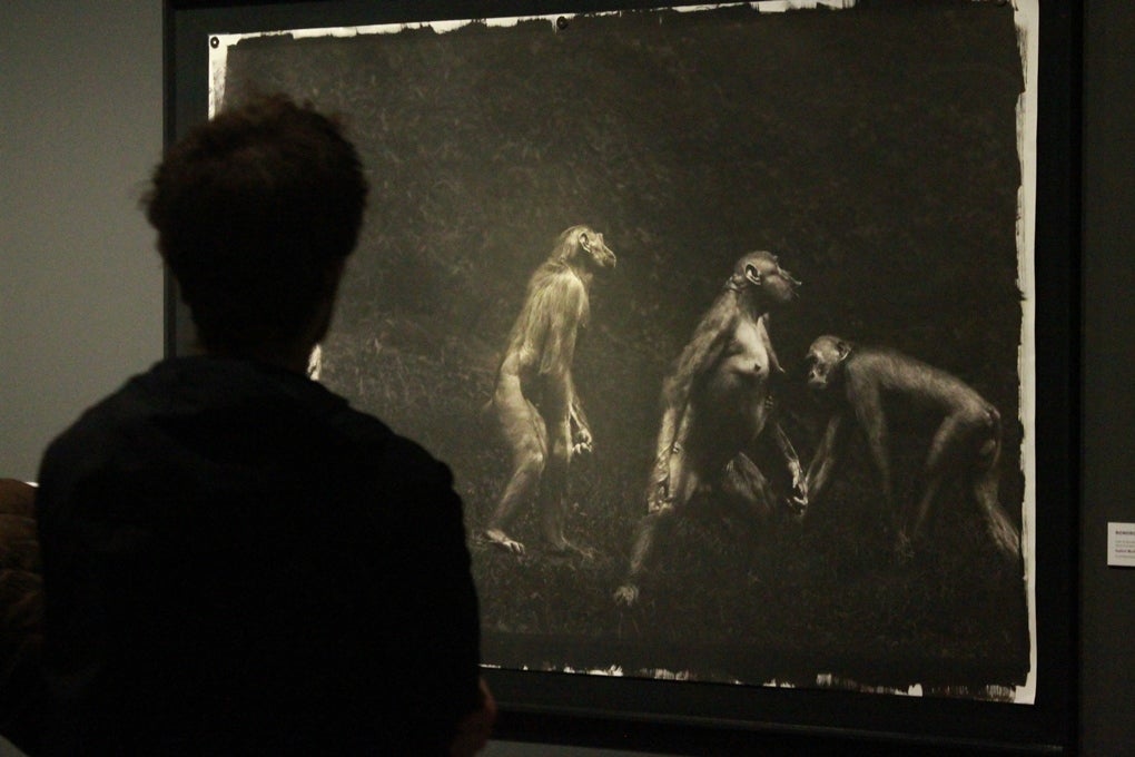 El Museo de la Evolución Humana inaugura una nueva exposición fotográfica