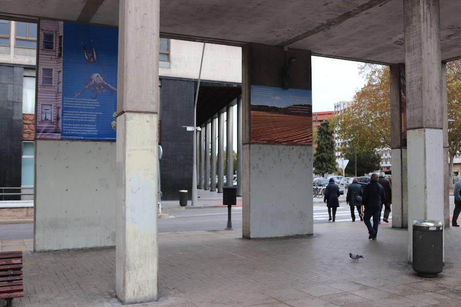 Los soportales de la plaza de España sirven de caballete para la exposición fotográfica de Javier Contreras y Ángel Herraiz, en la que ilustran 22 poemas