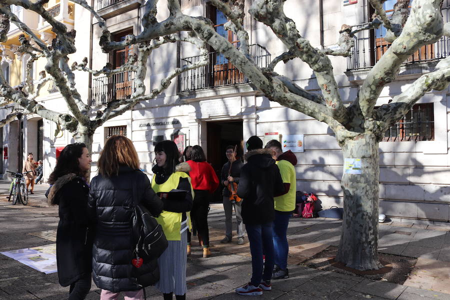 Amnistía Internacional se suma a la celebración del Día contra la Violencia de Género con una instalación artística y un recorrido musical por El Espolón